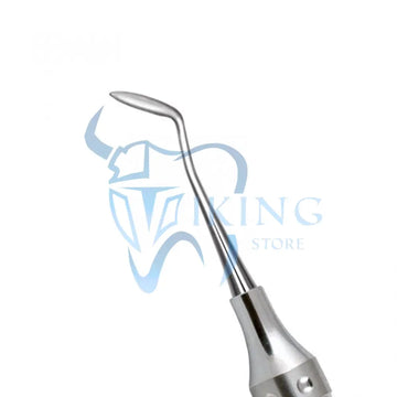 Amalgam Carver Pakistani