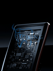 Woodpex Gold V Apex Locator - Woodpecker