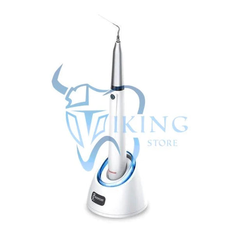 ENDO 1 Ultrasonic Endo Activator - Woodpecker