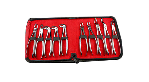 Adult Extraction Forceps Kit - 10 pcs