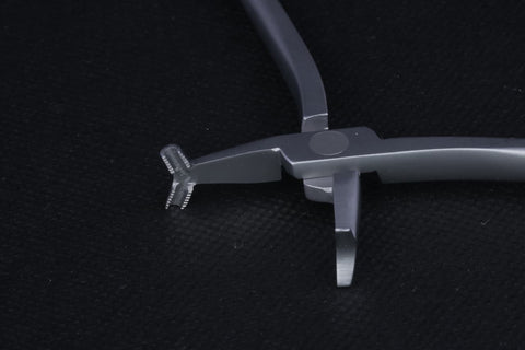 Cinch Back - MAJESTIC