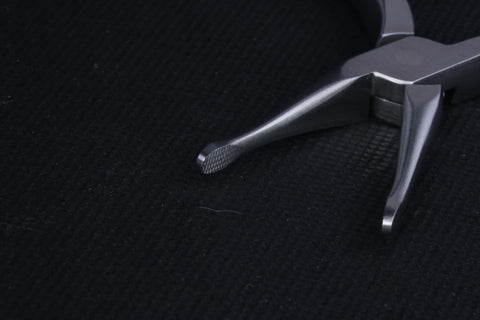 Cinch Back - MAJESTIC