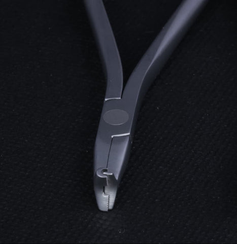 Cinch Back - MAJESTIC