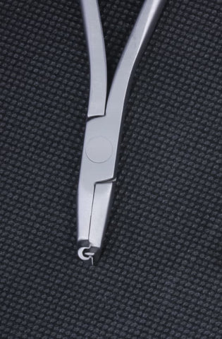 Cinch Back - MAJESTIC