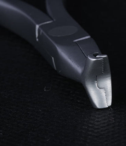 Cinch Back - MAJESTIC