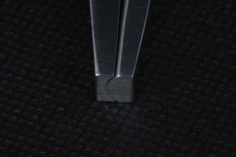 De La Rosa - MAJESTIC