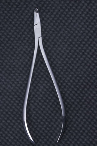 Cinch Back - MAJESTIC