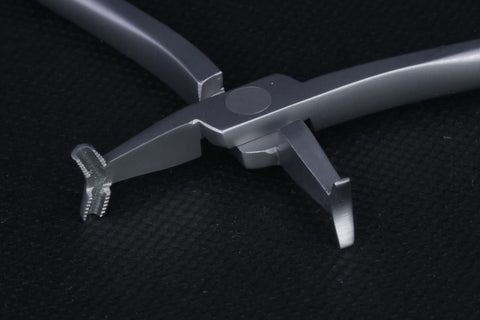 Cinch Back - MAJESTIC