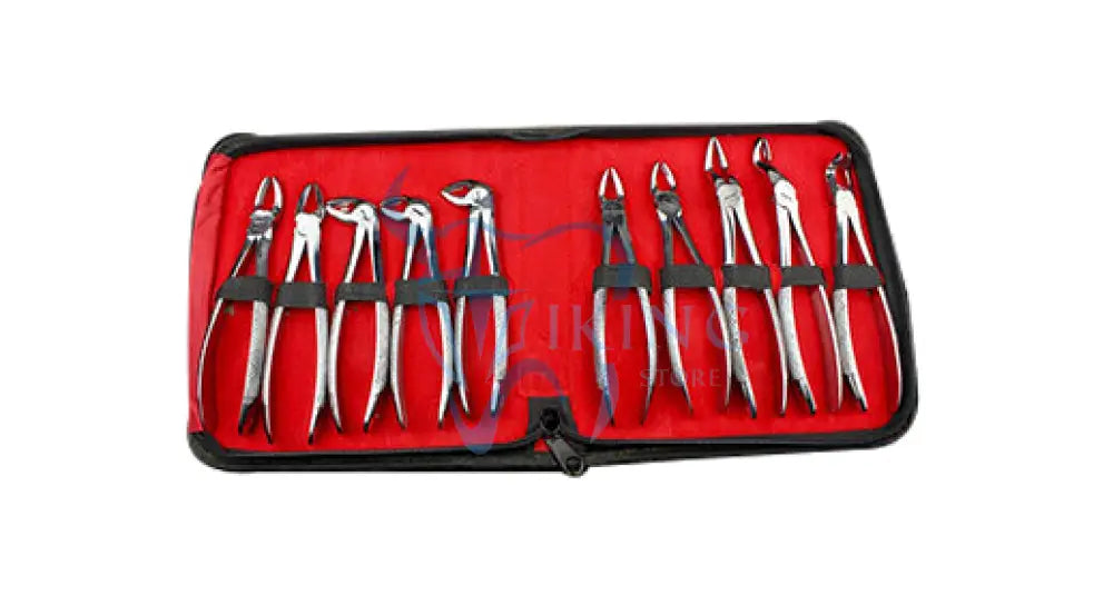 Kit D'extraction Dentaire – Forceps Chirurgicaux Pour Racines, Incisives, Molaires, Acier Inox, Marque TK PLUS, 3 Ans De Garantie