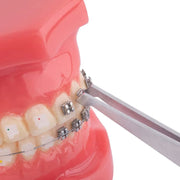 3M Unitek Transbond XT